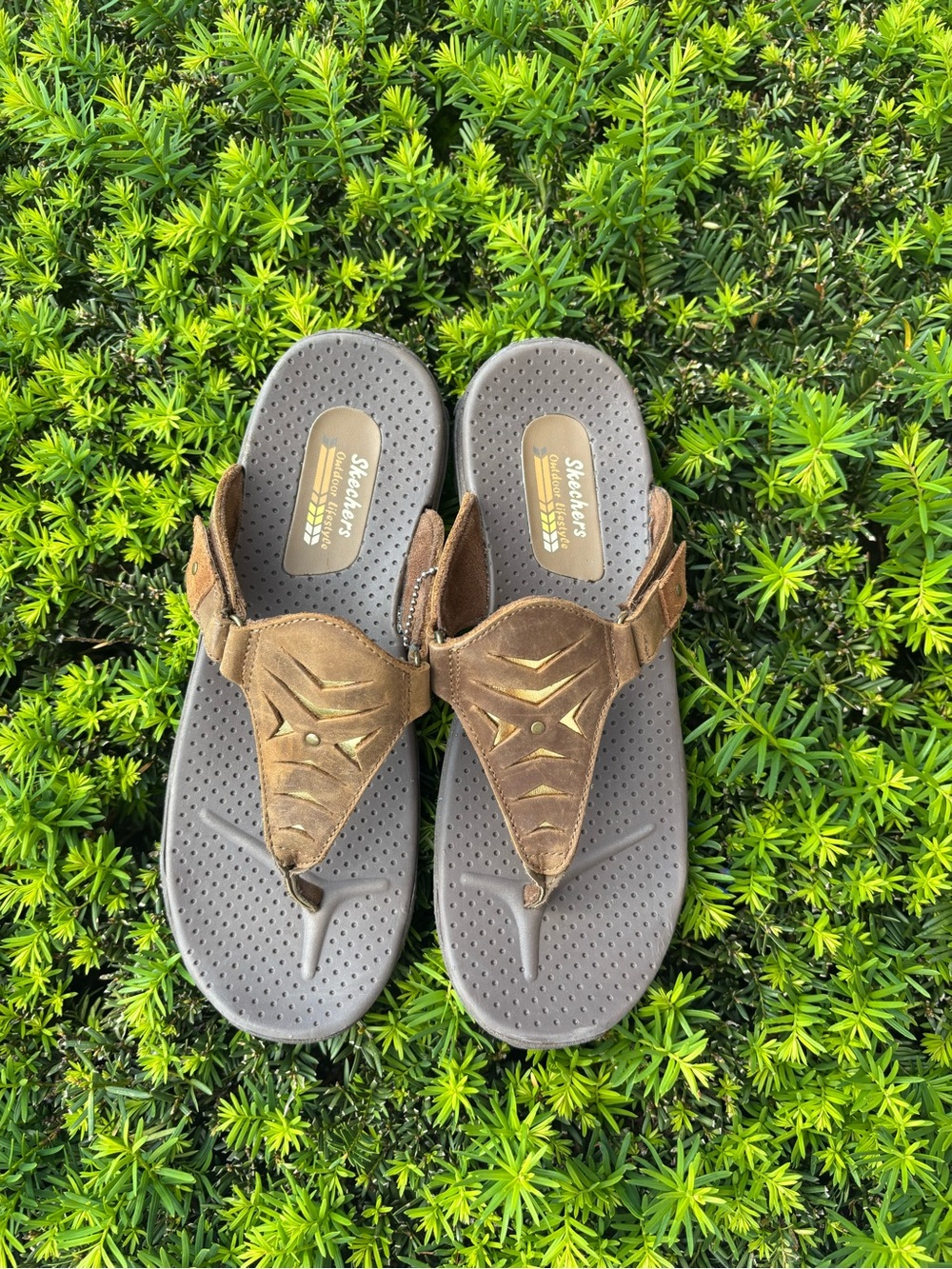Skechers Reggae Brown Leather Toe Loop Sandals Women Comfort Outdoor Casual
NWT - Picture 2 of 11